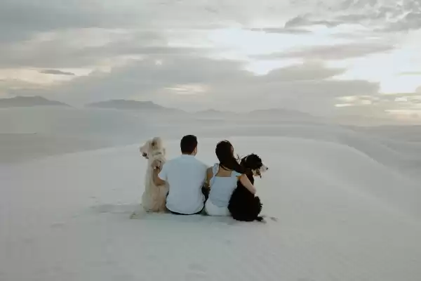 Alyssa Green Photo — Wedding Photographers in Alamogordo, NM