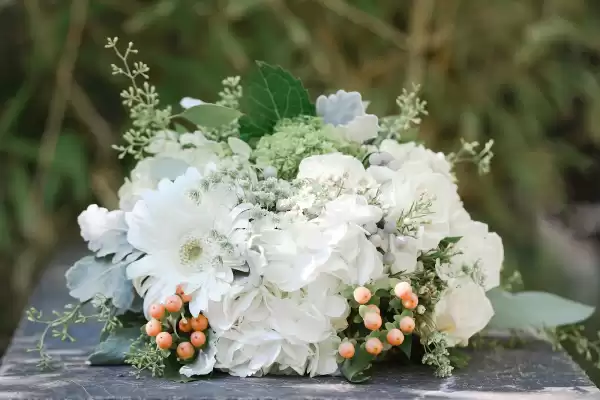 Caitlin Elizabeth Photography LLC | Foto: Caitlin Elizabeth Photography LLC