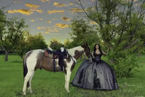 The Photo Element Photographers and Video — Wedding Photographers in Santa Teresa, NM