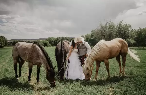 Blackbird Santa Fe | Foto: Lucrecia Tainter