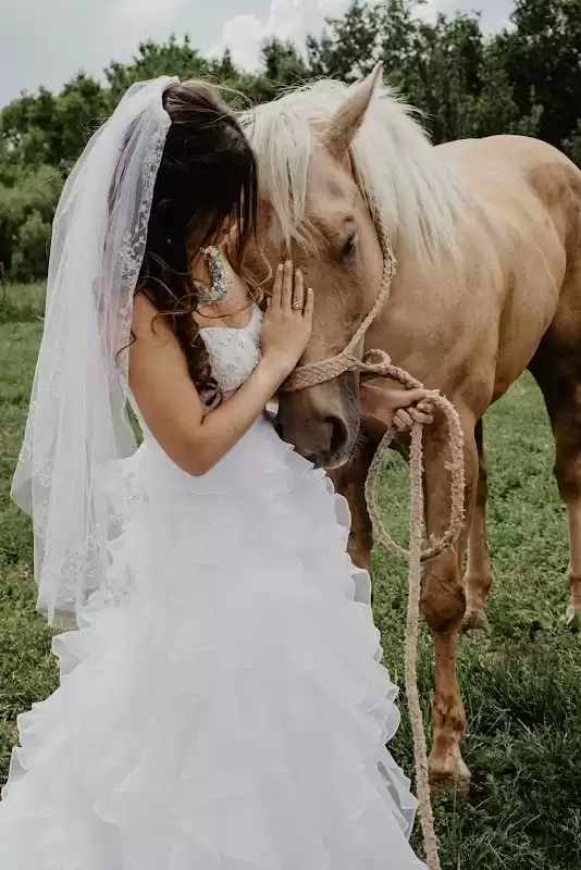 Blackbird Santa Fe | Foto: Blackbird Santa Fe