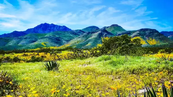 Jaipixes Photography | Foto: Jaipixes Photography