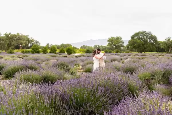 Stephany Taylor Photography — Wedding Photographers in Albuquerque, NM