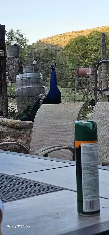 Walnut Grove | Foto: samantha urban