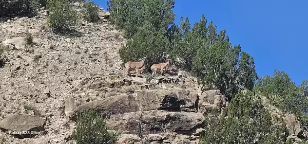 Walnut Grove | Foto: samantha urban