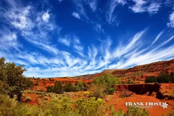 Frank Frost Photography | Foto: Frank Frost Photography
