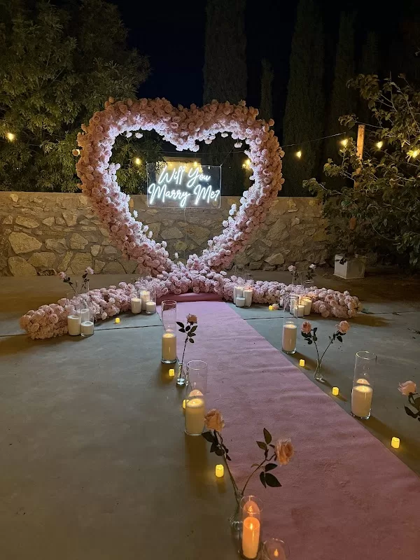Sun City Dream Proposals | Foto: Sun City Dream Proposals — photo 5