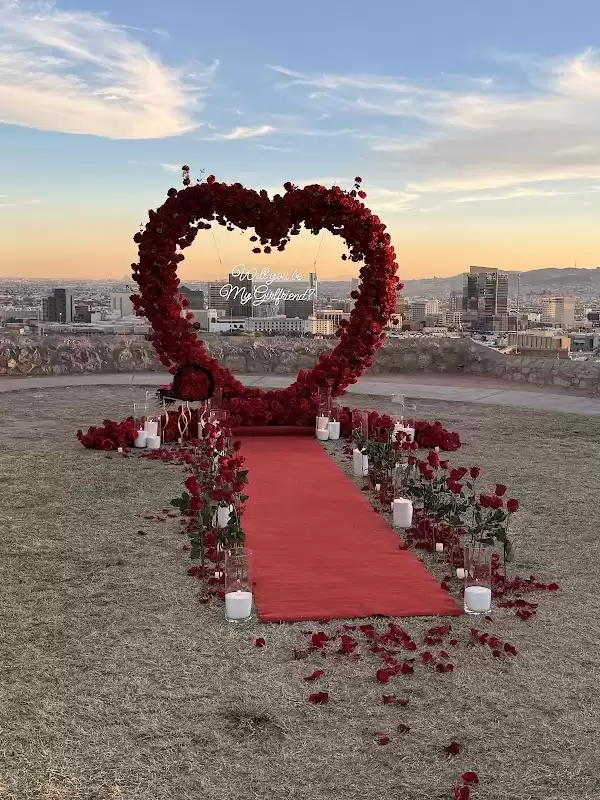 Sun City Dream Proposals | Foto: Sun City Dream Proposals