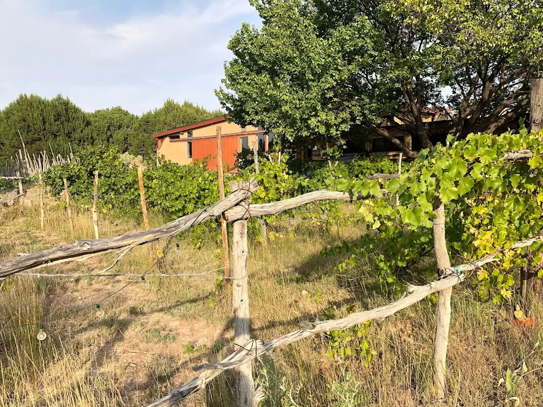 PLACITAS WINERY - Lugares para Bodas en Placitas | Foto: PLACITAS WINERY — photo 3