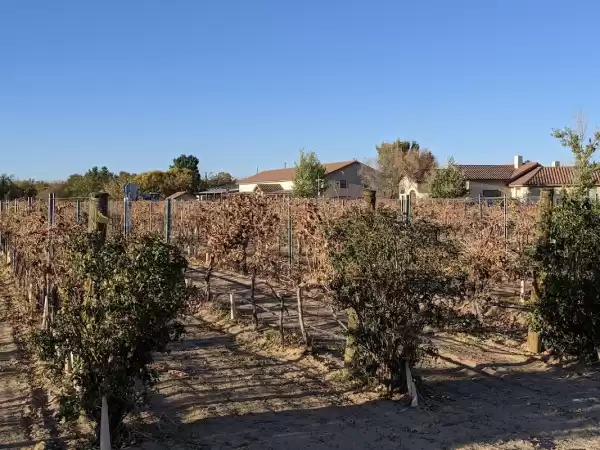 Rio Grande Winery - Lugares para Bodas en Las Cruces | Foto: Joe Smith