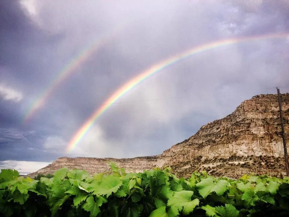 Wines of the San Juan - Lugares para Bodas en Blanco | Foto: Wines of the San Juan — photo 5