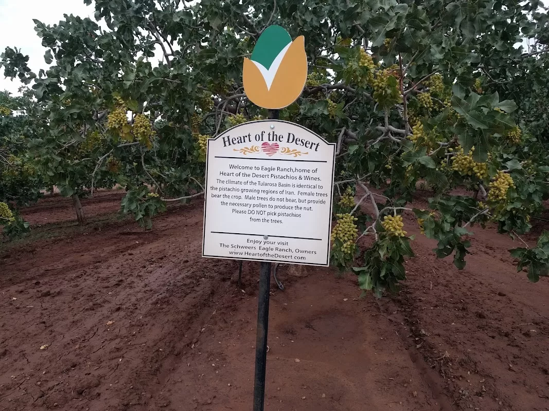 Heart of the Desert Pistachios & Wine | Foto: Jennifer Schelly — photo 5