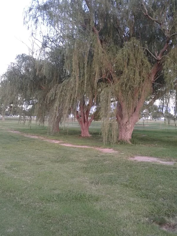 Hobbs Country Club | Foto: Teresa Lares — photo 4
