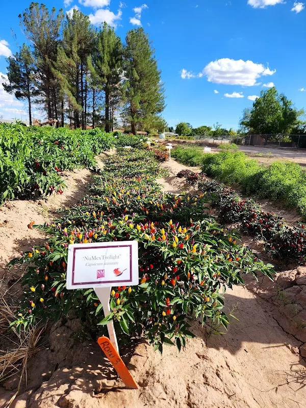 Landscape Demonstration Garden - Fabian Garcia Science Center | Foto: Glorianne Rux — photo 2