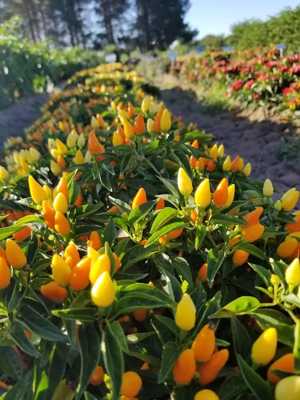 Landscape Demonstration Garden - Fabian Garcia Science Center | Foto: Adan Delval — photo 4