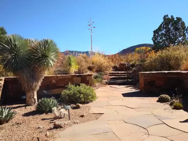 Santa Fe Botanical Garden | Foto: Robert Umans