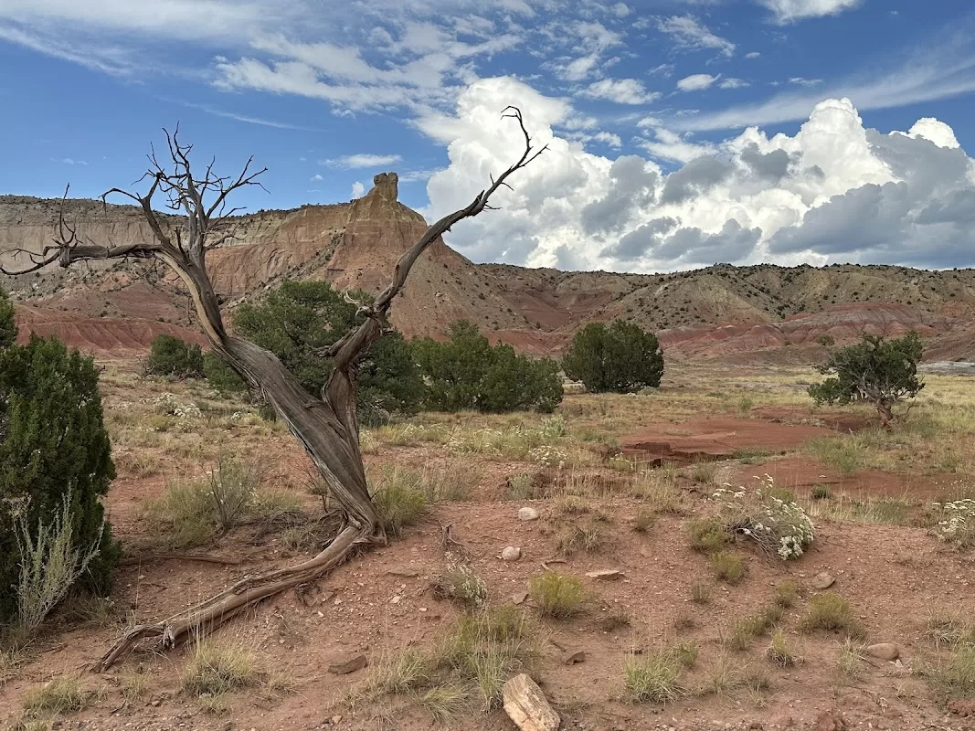 Ghost Ranch Education & Retreat Center | Foto: Jody Reid — photo 5