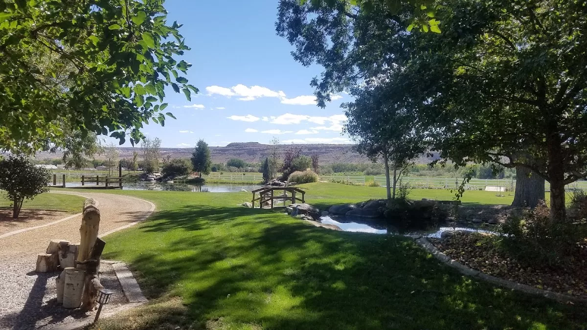 Triple J Ranch Events | Foto: Adam Hirshberg — photo 3